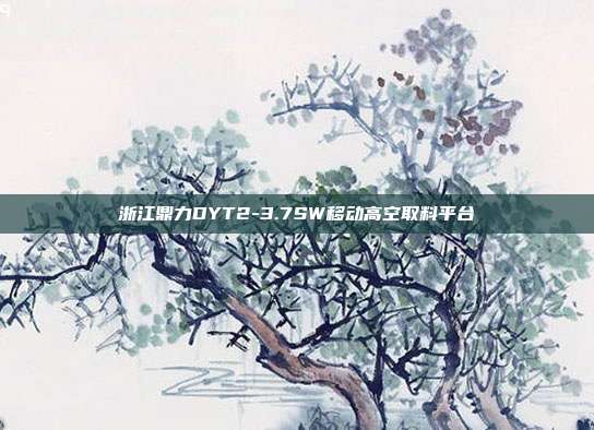浙江鼎力DYT2-3.7SW移动高空取料平台