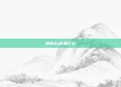 地铁dy柜是什么