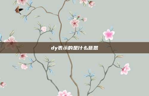 dy表示的是什么意思