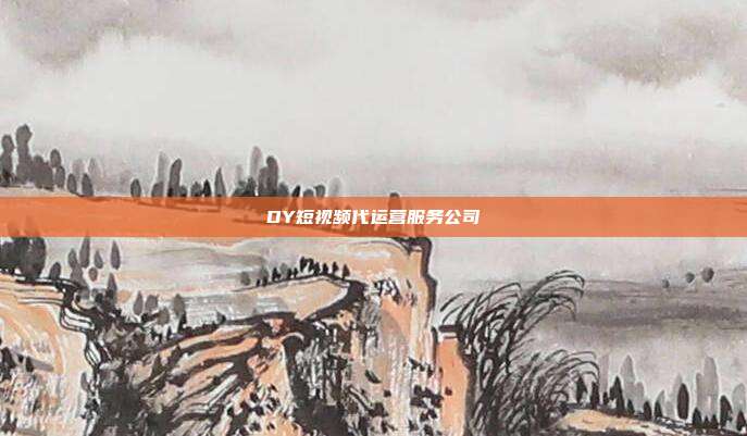 DY短视频代运营服务公司
