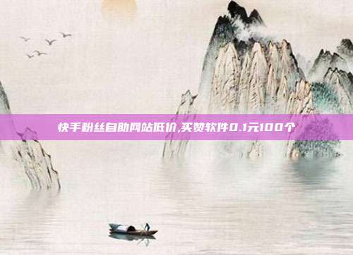 快手粉丝自助网站低价,买赞软件0.1元100个