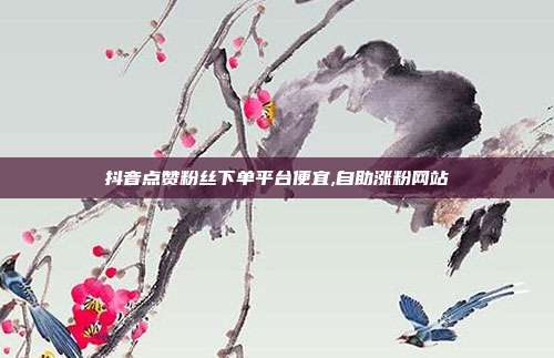 抖音点赞粉丝下单平台便宜,自助涨粉网站