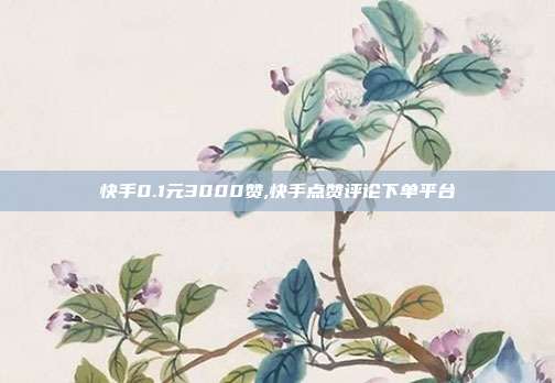 快手0.1元3000赞,快手点赞评论下单平台