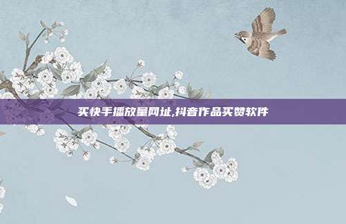 买快手播放量网址,抖音作品买赞软件