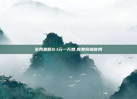 全网最低0.1元一万赞,有赞商城官网