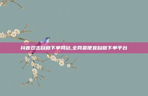 抖音双击自助下单网站,全网最便宜自助下单平台