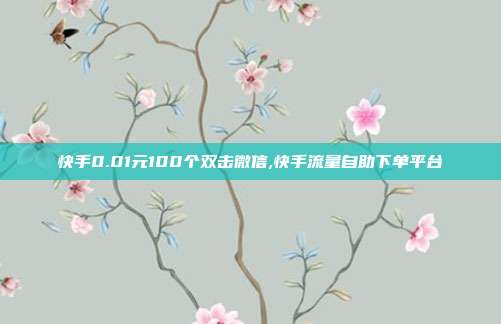 快手0.01元100个双击微信,快手流量自助下单平台