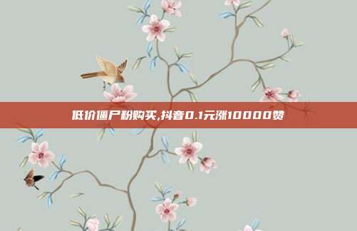 低价僵尸粉购买,抖音0.1元涨10000赞