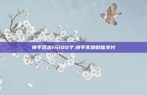 快手双击1元100个,快手买赞微信支付
