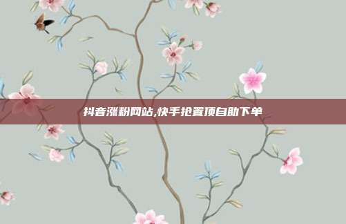 抖音涨粉网站,快手抢置顶自助下单