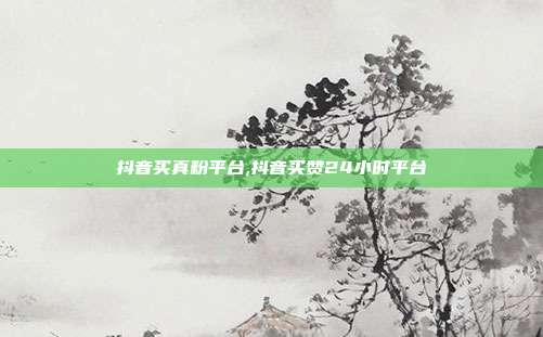 抖音买真粉平台,抖音买赞24小时平台