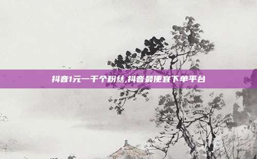 抖音1元一千个粉丝,抖音最便宜下单平台