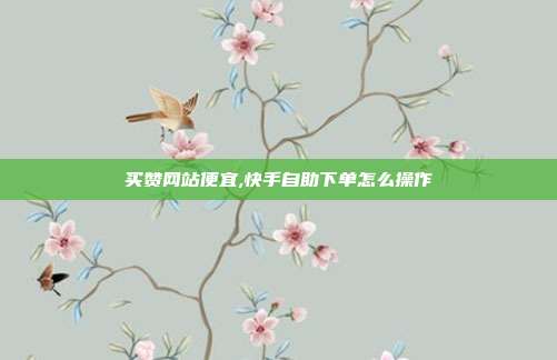 买赞网站便宜,快手自助下单怎么操作