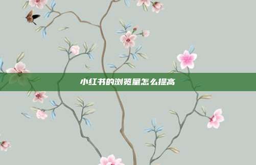 小红书的浏览量怎么提高
