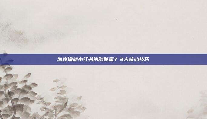 怎样增加小红书的浏览量?3大核心技巧