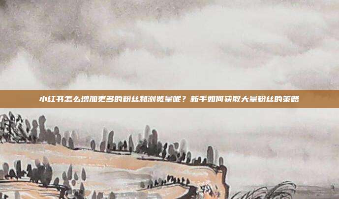 小红书怎么增加更多的粉丝和浏览量呢?新手如何获取大量粉丝的策略