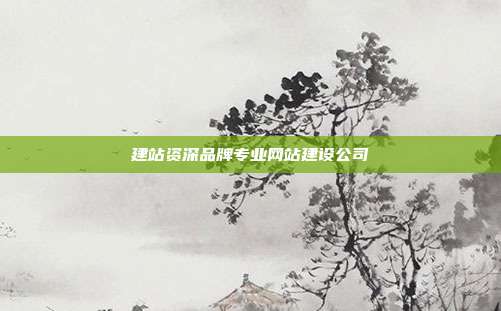建站资深品牌专业网站建设公司
