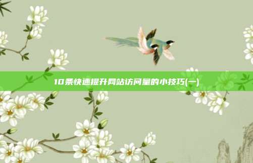 10条快速提升网站访问量的小技巧(一)