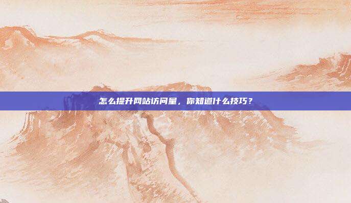 怎么提升网站访问量,你知道什么技巧?