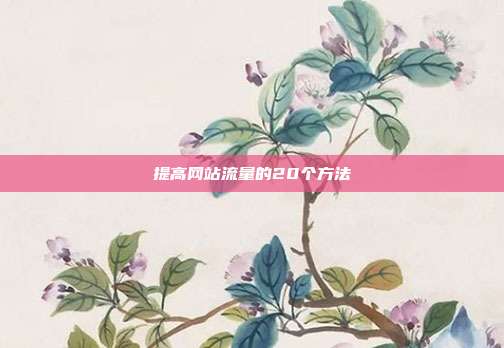 提高网站流量的20个方法