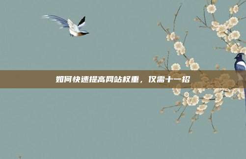 如何快速提高网站权重，仅需十一招