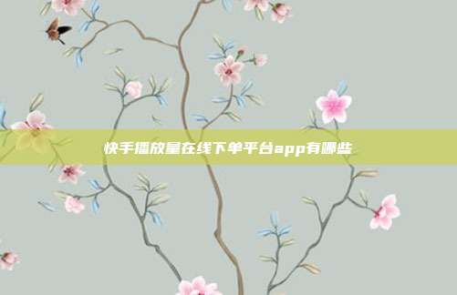 快手播放量在线下单平台app有哪些