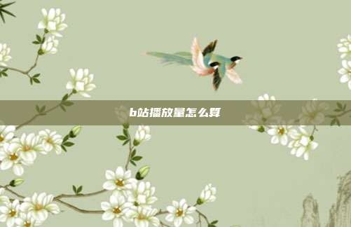 b站播放量怎么算