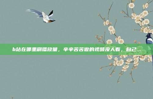 b站在哪里刷播放量,辛辛苦苦做的视频没人看,自己...