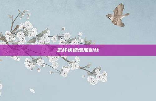 怎样快速增加粉丝