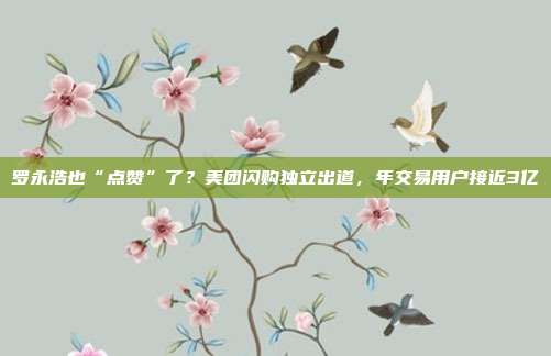 罗永浩也“点赞”了？美团闪购独立出道，年交易用户接近3亿