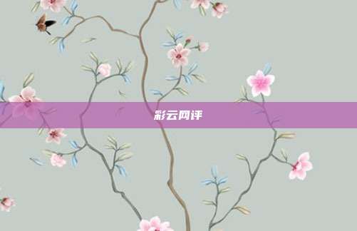 彩云网评