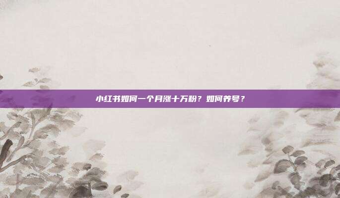 小红书如何一个月涨十万粉？如何养号？