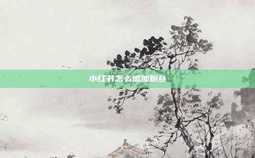 小红书怎么增加粉丝