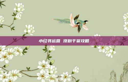 小红书运营 涨粉干货攻略