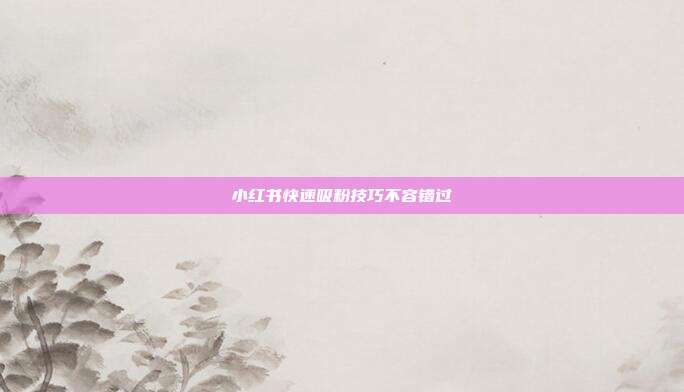 小红书快速吸粉技巧不容错过