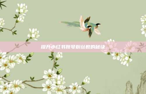 提升小红书账号粉丝数的秘诀