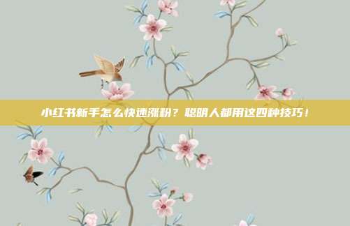 小红书新手怎么快速涨粉?聪明人都用这四种技巧!