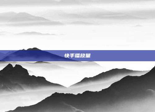 快手播放量