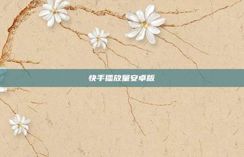 快手播放量安卓版