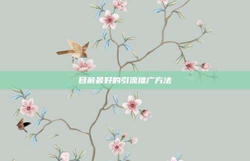 目前最好的引流推广方法