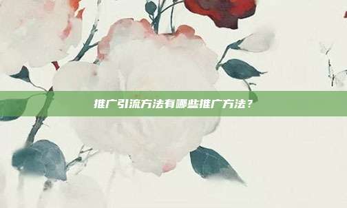 推广引流方法有哪些推广方法?
