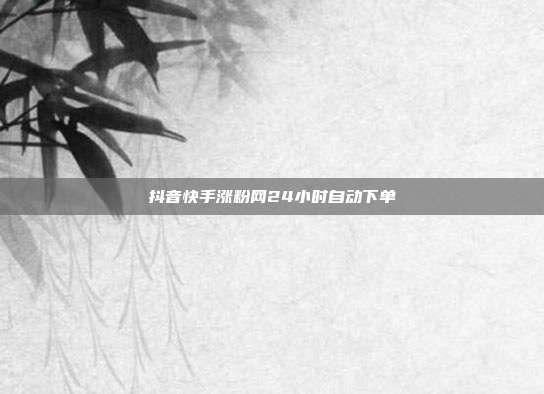 抖音快手涨粉网24小时自动下单