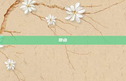 赞点
