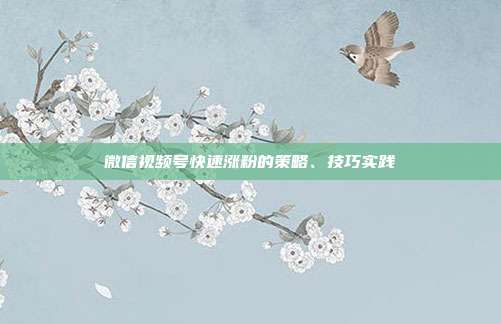 微信视频号快速涨粉的策略、技巧实践