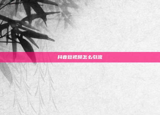 抖音短视频怎么引流