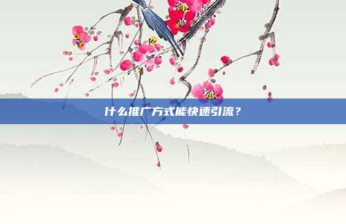 什么推广方式能快速引流?