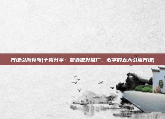 方法引流有吗(干货分享:想要做好推广,必学的五大引流方法)