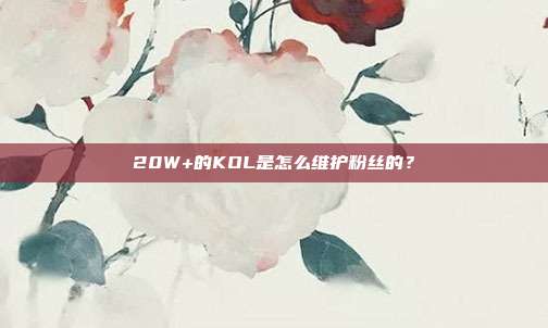 20W+的KOL是怎么维护粉丝的?