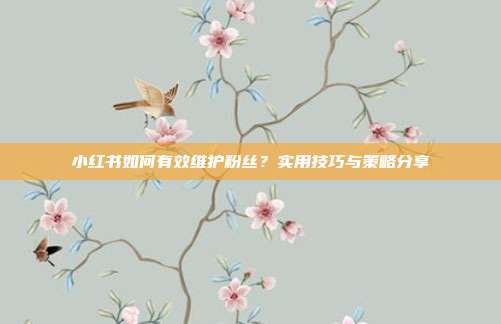小红书如何有效维护粉丝?实用技巧与策略分享