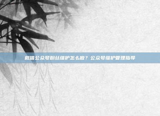 微信公众号粉丝维护怎么做?公众号维护管理指导